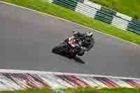 cadwell-no-limits-trackday;cadwell-park;cadwell-park-photographs;cadwell-trackday-photographs;enduro-digital-images;event-digital-images;eventdigitalimages;no-limits-trackdays;peter-wileman-photography;racing-digital-images;trackday-digital-images;trackday-photos